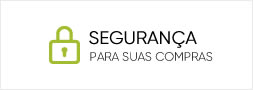 SEGURANÇA